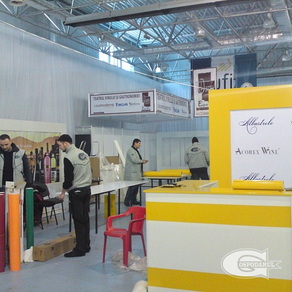 Expozitia vinurilor si bucatariei traditionale